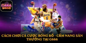 Cá cược bóng rổ