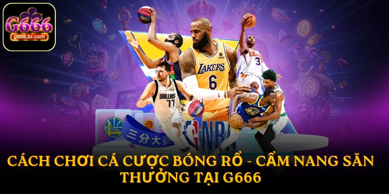 Cá cược bóng rổ