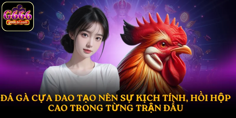 Đá gà cựa dao tạo nên sự kịch tính, hồi hộp cao trong từng trận đấu