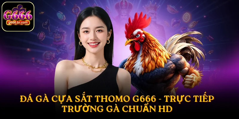 Đá gà cựa sắt Thomo