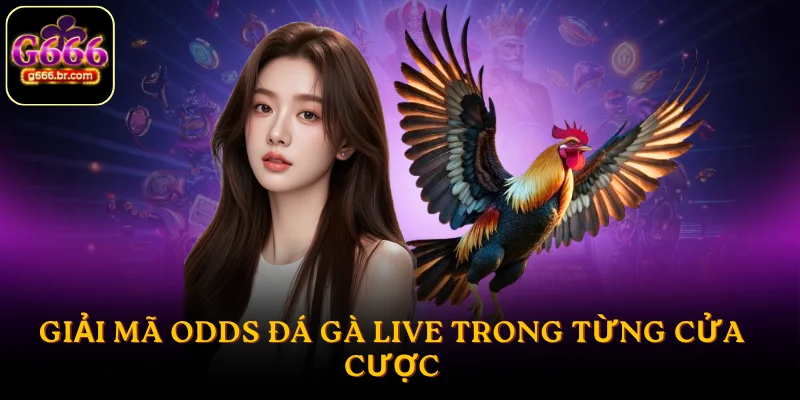 Giải mã odds đá gà live trong từng cửa cược