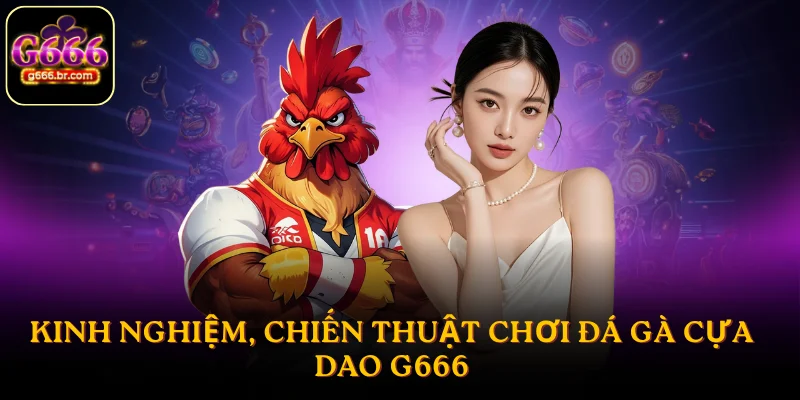 Kinh nghiệm, chiến thuật chơi đá gà cựa dao G666