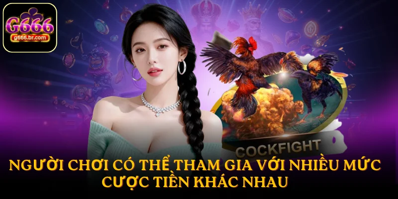 Người chơi có thể tham gia với nhiều mức cược tiền khác nhau