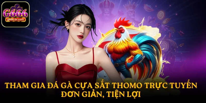 Tham gia đá gà cựa sắt Thomo trực tuyến đơn giản, tiện lợi