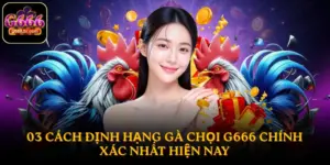 định hạng gà chọi