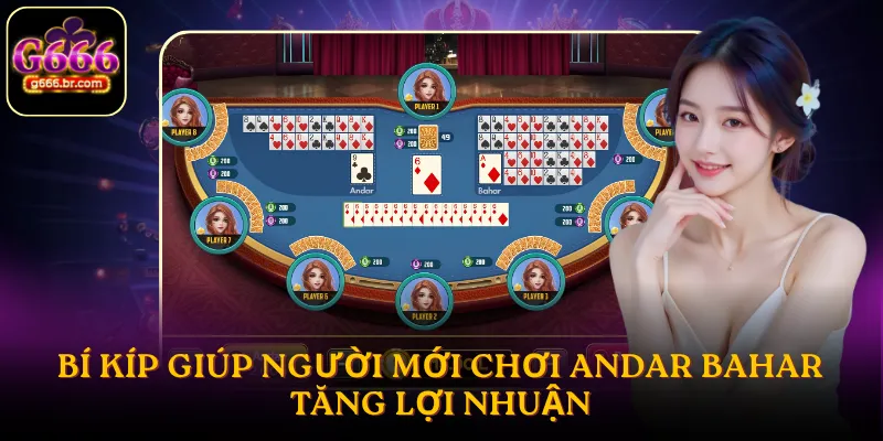 Bí kíp giúp người mới chơi Andar Bahar tăng lợi nhuận