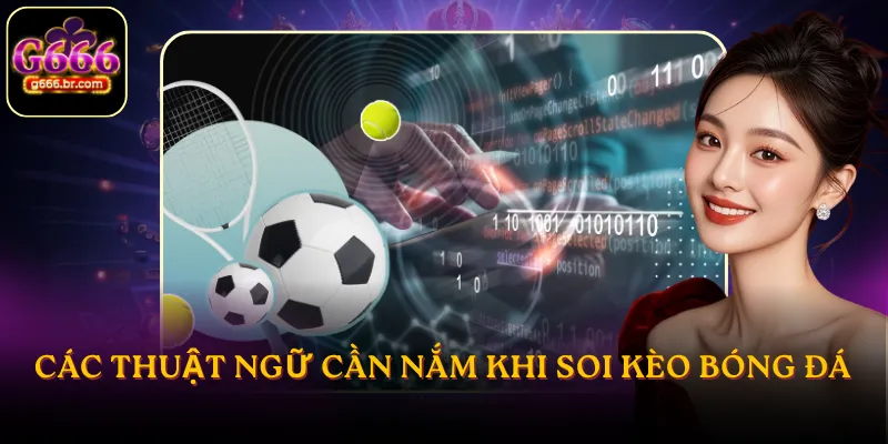 Các thuật ngữ cần nắm khi soi kèo bóng đá