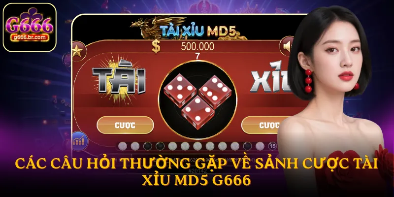 Các câu hỏi thường gặp về sảnh cược tài xỉu MD5 G666