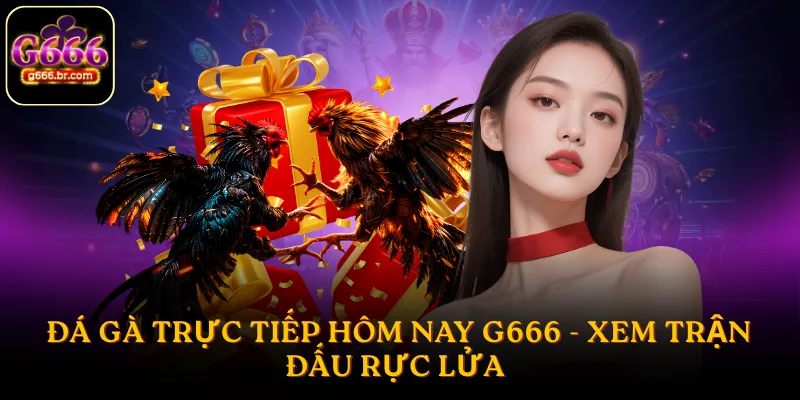 Đá gà trực tiếp hôm nay