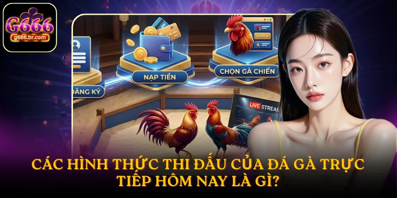 Các hình thức thi đấu của đá gà trực tiếp hôm nay là gì?