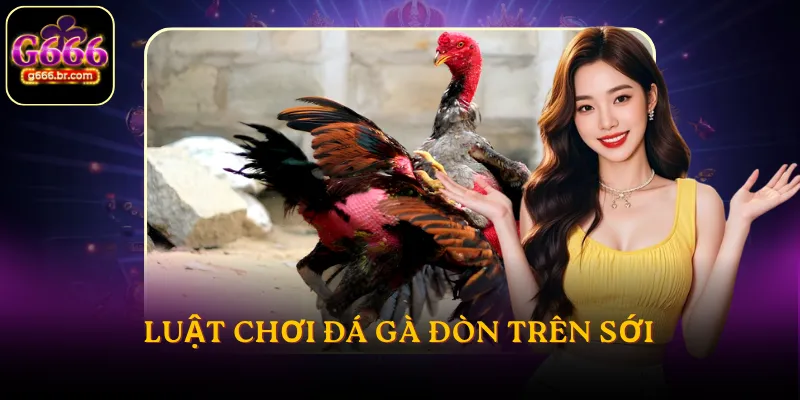 Luật chơi đá gà đòn trên sới