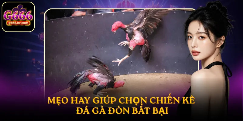 Mẹo hay giúp chọn chiến kê đá gà đòn bất bại