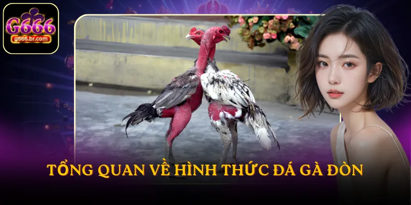 Tổng quan về hình thức đá gà đòn